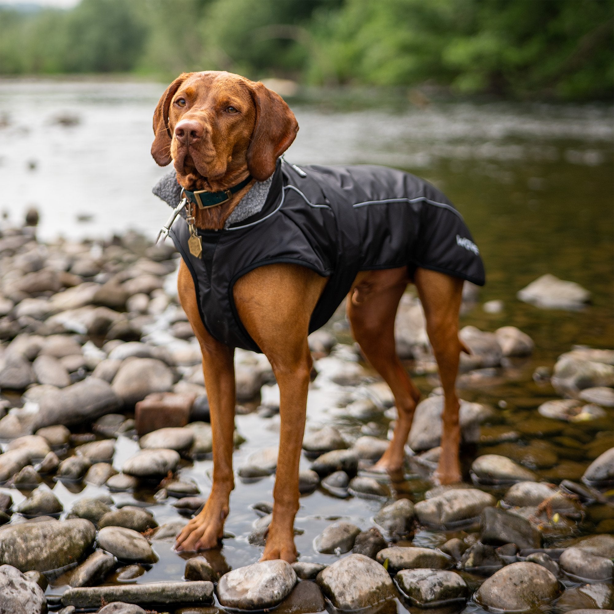 Fleece-Lined Dog Robe - Wave Sups UK